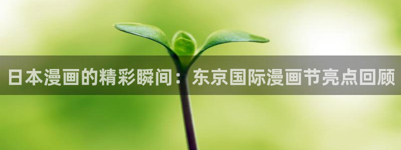 包子漫画下载安装正版：日本漫画的精彩瞬间：东京国际漫画节亮点回顾