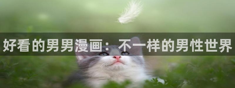 胆大党包子漫画：好看的男男漫画：不一样的男性世界