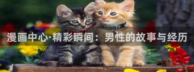 叼只少爷回家包子漫画：漫画中心·精彩瞬间：男性的故事与经历