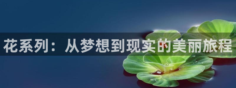 包子漫画dmca：花系列：从梦想到现实的美丽旅程