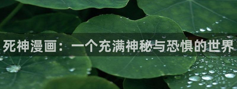 包子漫画官网在线观看：死神漫画：一个充满神秘与恐惧的世界