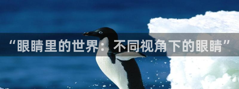 包子漫画免：“眼睛里的世界：不同视角下的眼睛”